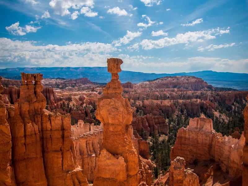 sudoku progression track screenshot 5